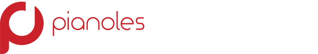 Pianoles Drechtsteden